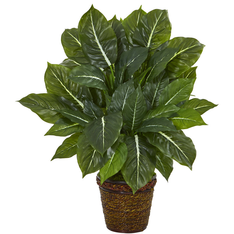 Bungalow Rose Artificial Evergreen Plant in Planter Wayfair