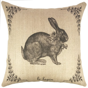French Burlap Pillows Wayfair