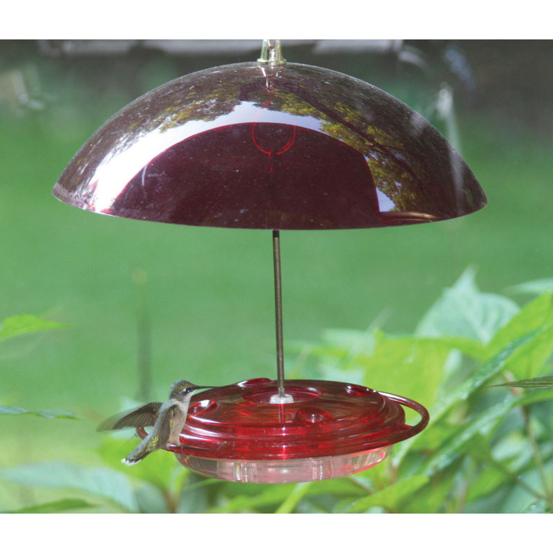 Birds Choice Hummerdome Hummingbird Feeder Wayfair