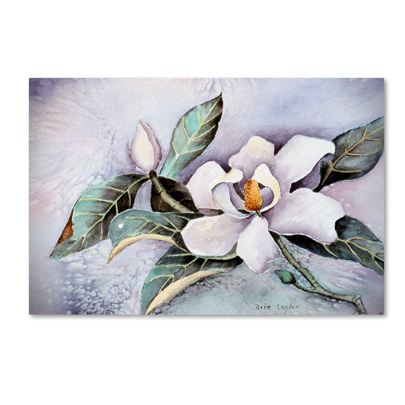 Trademark Art Magnolia Blossom Oil Painting Print On Wrapped