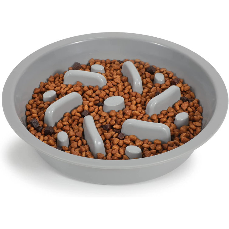 slow feeder dish