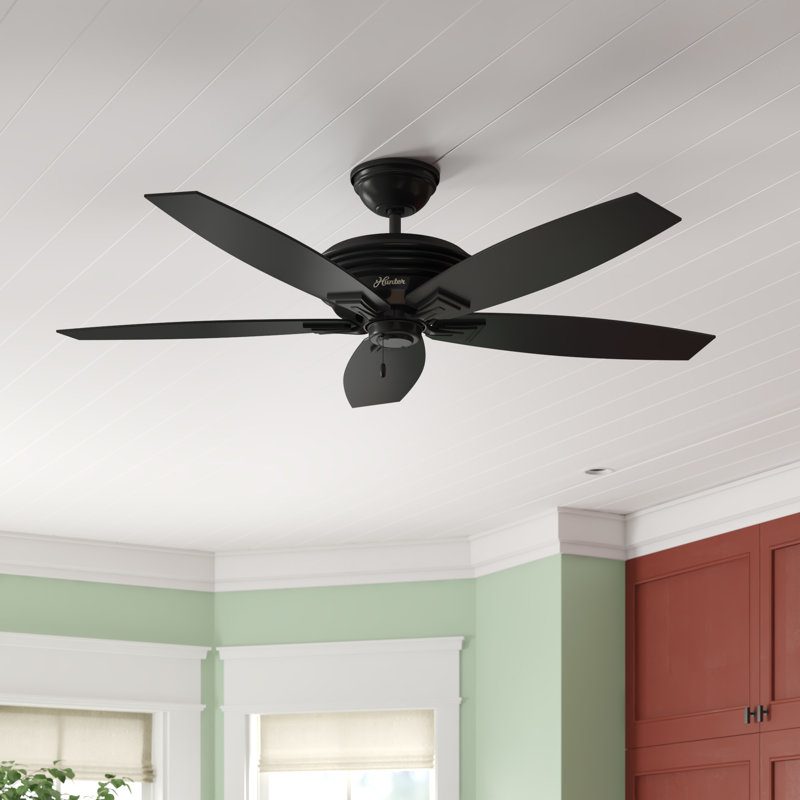 Hunter Fan 52 Rainsford 5 Blade Outdoor Standard Ceiling Fan With Pull Chain Reviews Wayfair