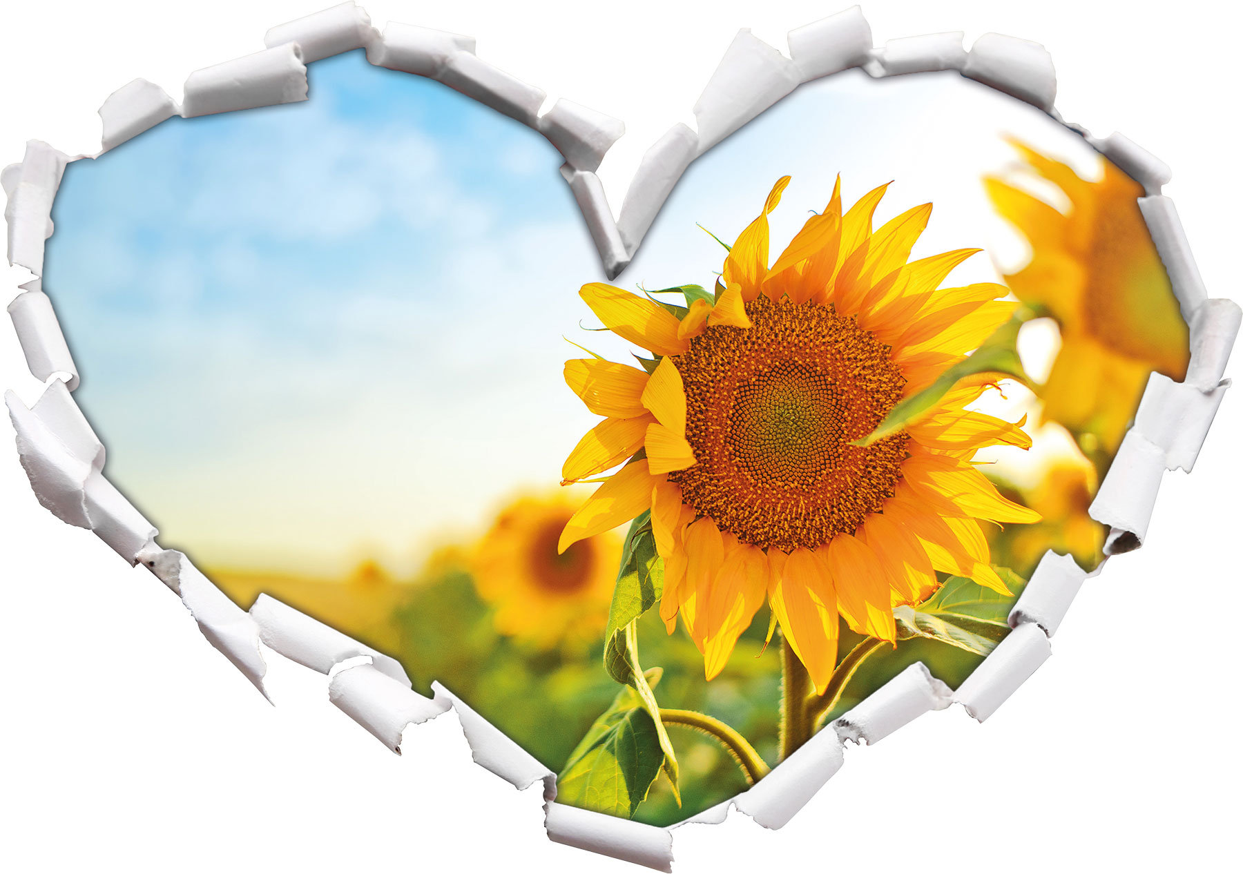 Sonnenblume Tattoo Filigran