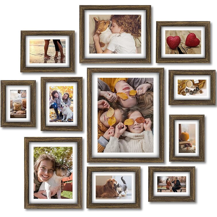 5x7 and 4x6 Mats Display Pictures with 8x10 Wall Mounted and Glass Front 11x14 Document Frames Black 