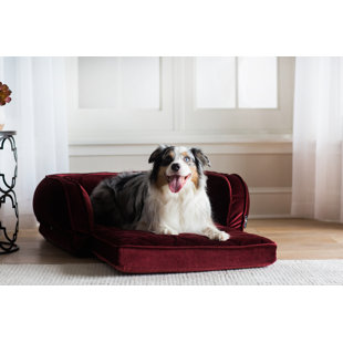 folding dog cot