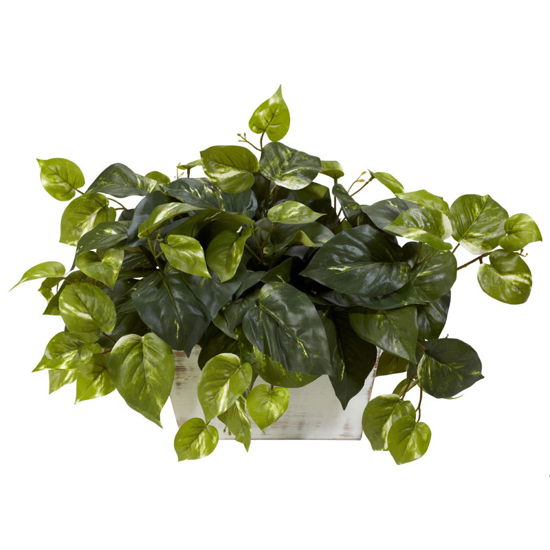 14&quot; Artificial Ivy Plant in Planter &amp; Reviews Joss &amp; Main