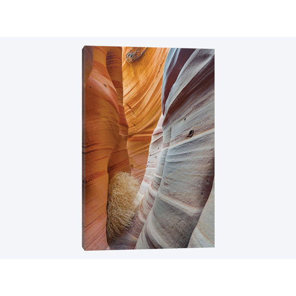 East Urban Home Slot Canyon Zebra Canyon Grand Staircase Escalante National Monument Utah Graphic Art Print On Canvas Wayfair