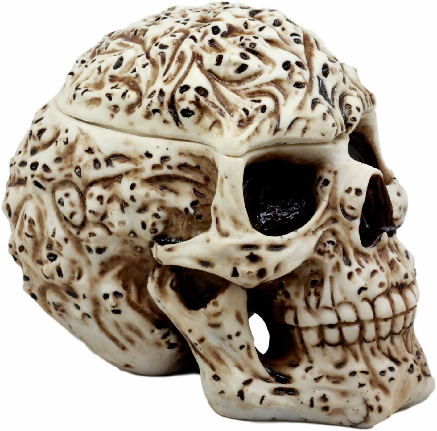 skull jewelry holder