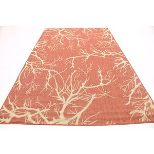 Marsh Terracotta Outdoor Area Rug