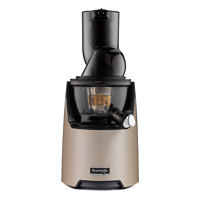 Kuvings Evo Whole Slow Masticating And Cold Press Juicer Wayfair