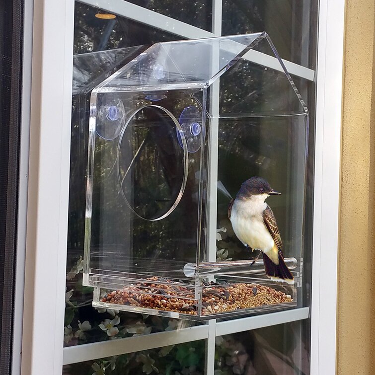 HANGING BIRD HOUSE Hummingbird Cages Nest Roosting Shelter CHUANGLIAN-BIRD HUT