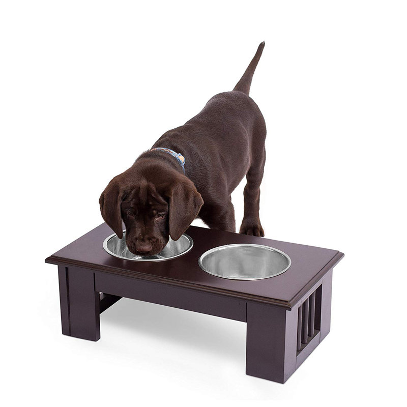 wayfair elevated dog bowls