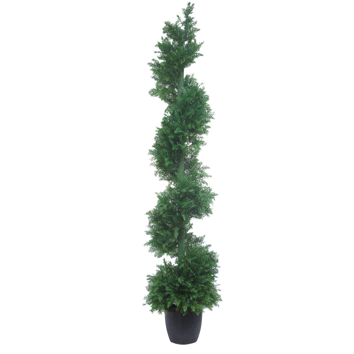 Millwood Pines Spiral Cedar Topiary Tree in Planter | Wayfair