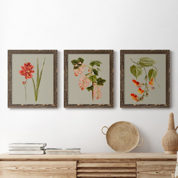 August Grove® Botanical Array IV - 2 Piece Picture Frame Painting on ...
