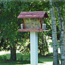 Dura Trel Inc Heavy Duty Post Hopper Bird Feeder Reviews Wayfair