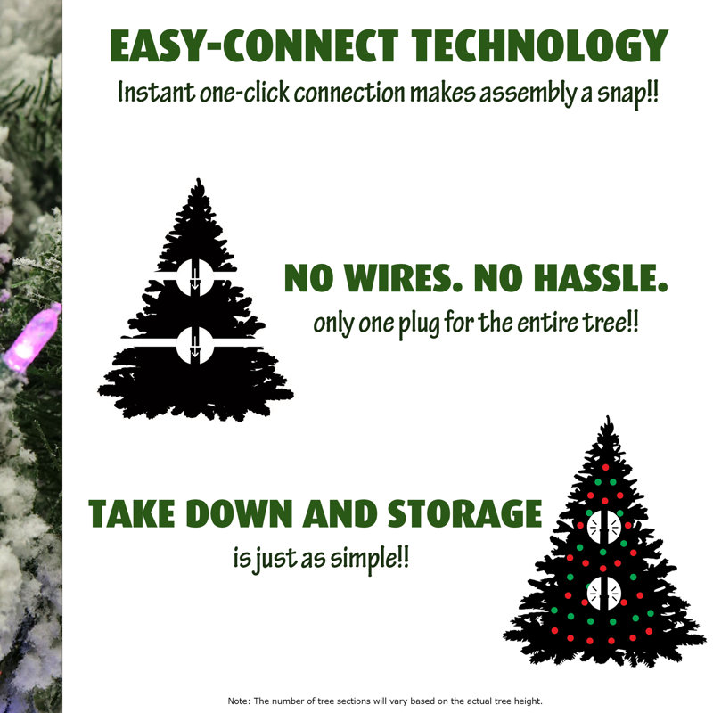 The Holiday Aisle 7 5 P Ine Arctic Christmas Tree With 600 With