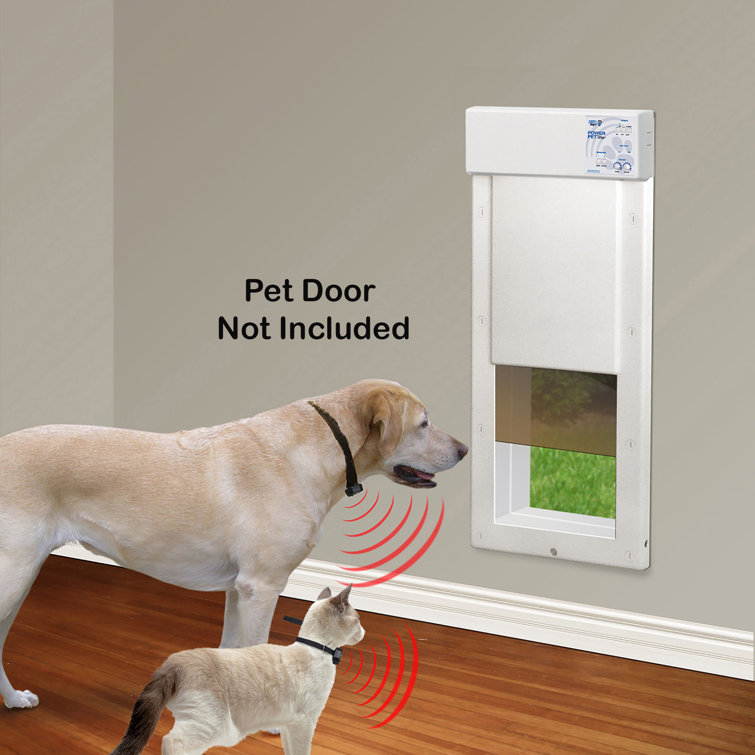 cat door electronic collar