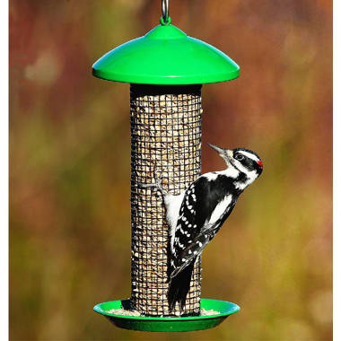 stovall whole peanut feeder