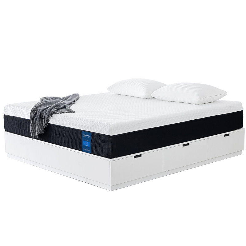 Molblly Two Sided 10 Medium Gel Memory Foam Mattress Reviews Wayfair
