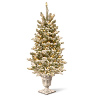 White Christmas Trees You Ll Love Wayfair 4 White Green Spruce Trees Artificial Christmas Tree With Clear Lights