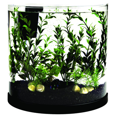 Wayfair.com - Online Home Store for Furniture Decor Wayfair.com - Online Home Store for Furniture Decor
