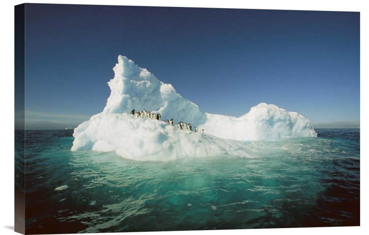 Memo board-landscape-Iceberg 