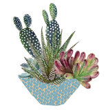 Cactus Bathroom Decor Wayfair Ca