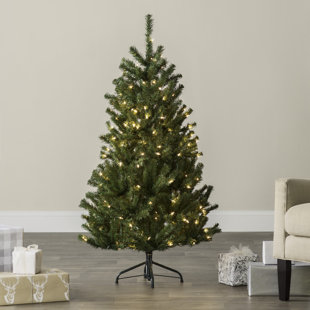 Pre Lit Christmas Trees You Ll Love Wayfair Green Spruce Trees Artificial Christmas Tree With 550 Incandescent Clear White Lights