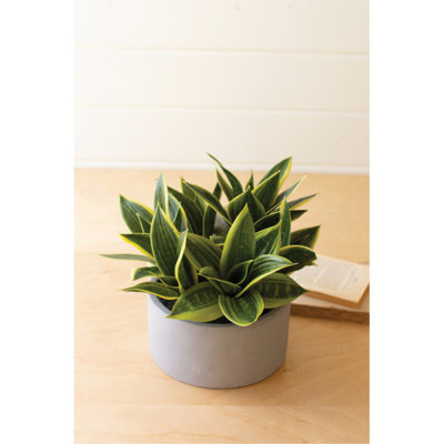 11'' Artificial Plant in Pot