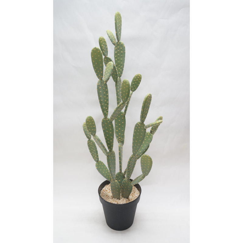 BIDKhome Prickly Pear Cactus Faux Plant in Pot & Reviews | Wayfair