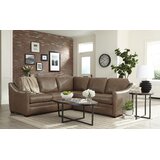 https://secure.img1-fg.wfcdn.com/im/04121676/resize-h160-w160%5Ecompr-r85/8478/84780064/Heather+Leather+Left+Hand+Facing+Sectional.jpg