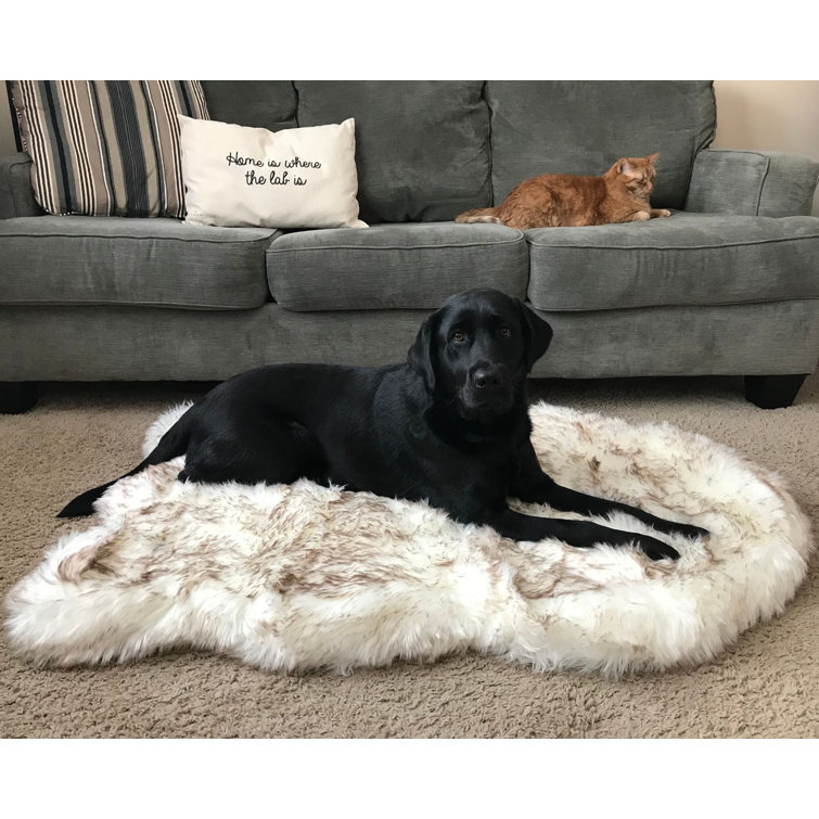 parrot play stand for sale