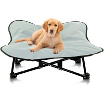 pet travel cot