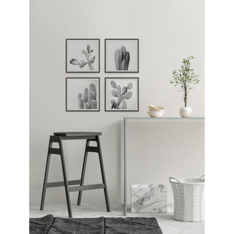 Mercury Row Cacti Types Quadriptych By Marmont Hill 4 Piece Picture Frame Graphic Art Print Set On Paper Reviews Wayfair