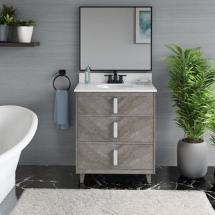 30 X 18 Bathroom Vanity Wayfair