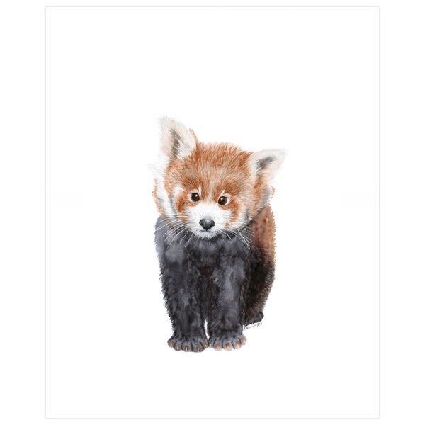 Ebern Designs Astrid Red Panda Portrait By Brett Blumenthal Paper Print Wayfair