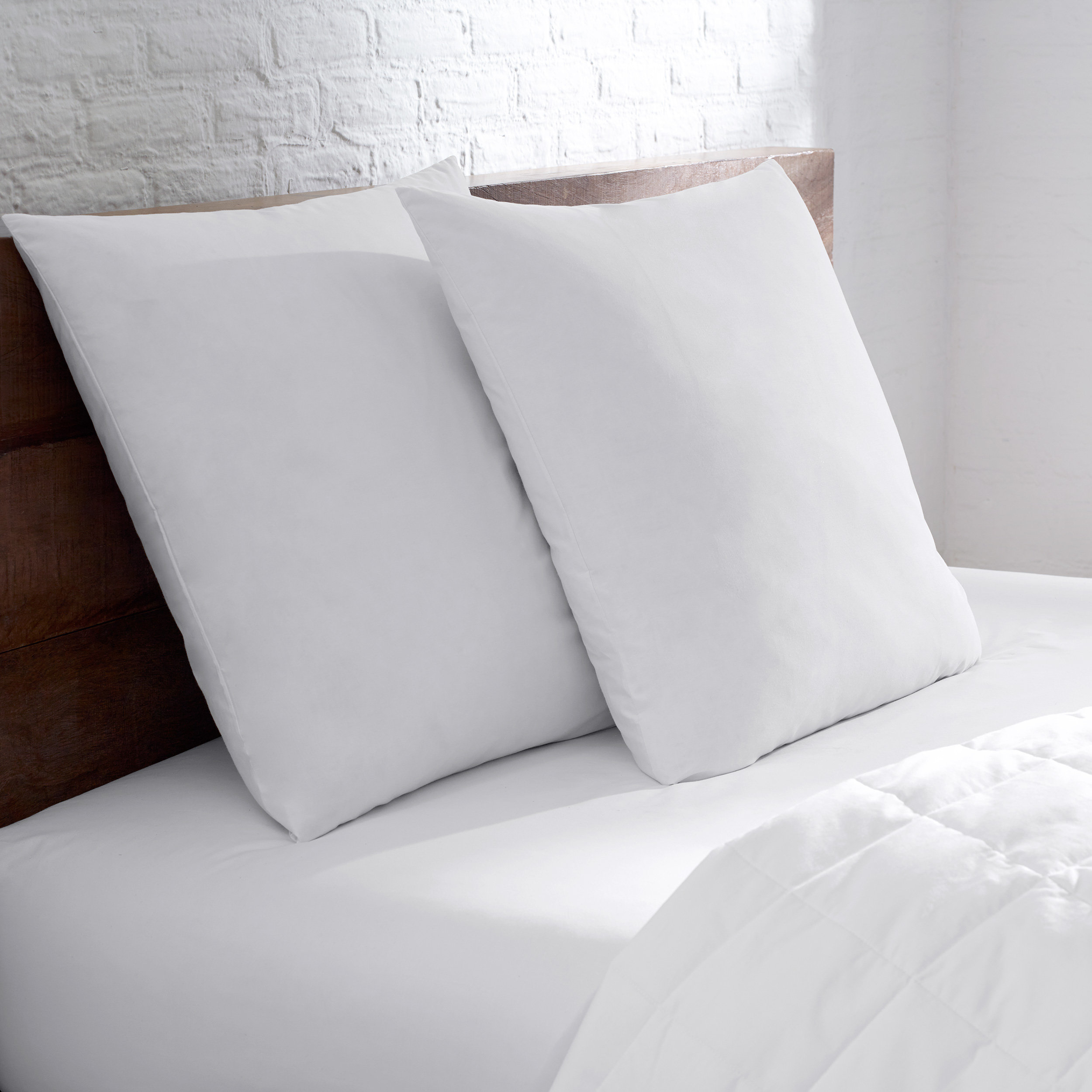 Eddie Bauer Cotton Down Euro Pillow Reviews Wayfair
