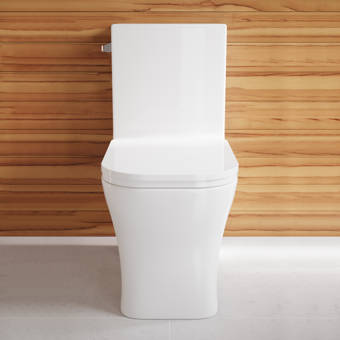 Kohler Veil One Piece Elongated Dual Flush Wall Hung Toilet With Reveal Quiet Close Seat Reviews Wayfair Ca