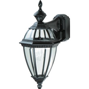 Pulaski 1-Light Outdoor Wall Lantern