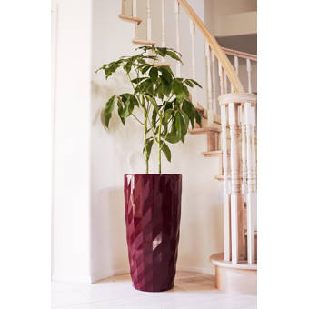 Vondom Alma Self Watering Resin Pot Planter Wayfair
