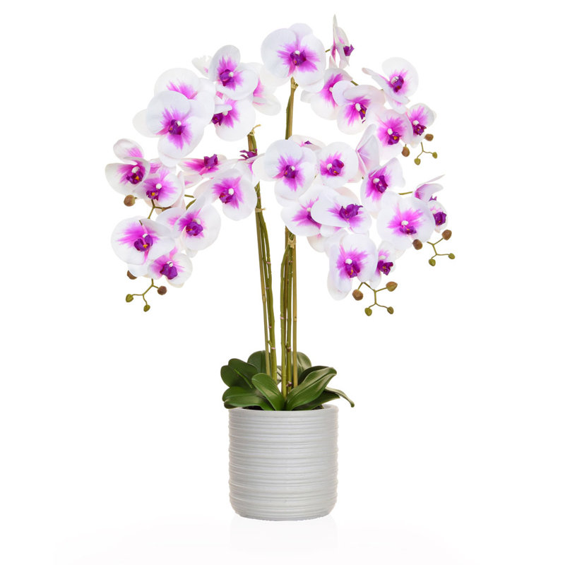 The Seasonal Aisle Orchids Flower Arrangements In Pot Wayfair Co Uk