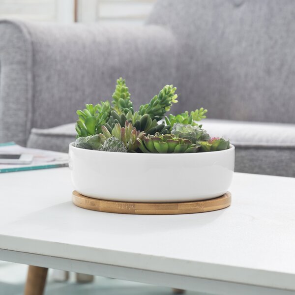 Latitude Run® White Ceramic Round Planter Pot | Wayfair