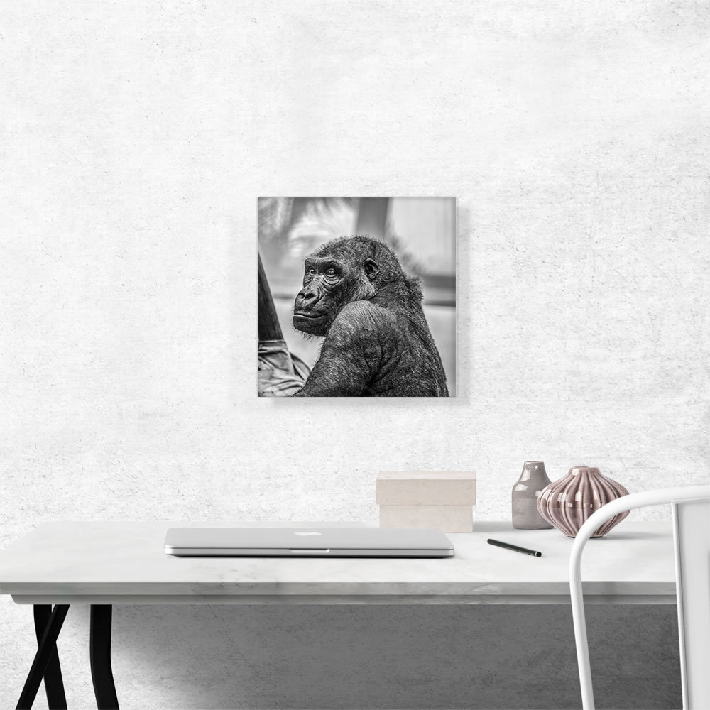 ARTCANVAS Gorilla Home Decor - Wrapped Canvas Photograph | Wayfair