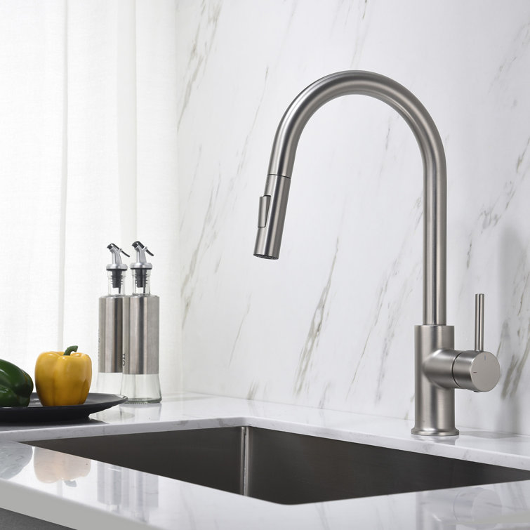 Blossom Pull Down Single Handle Kitchen Faucet Reviews Wayfair