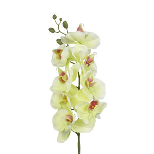 Green Orchid Faux Flowers You Ll Love In 2021 Wayfair