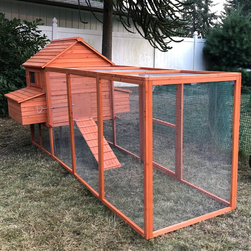 Haughton Multi Level Wooden Chicken Coop