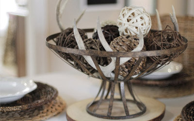 Blog Spotlight Decorating With Antlers Wayfair