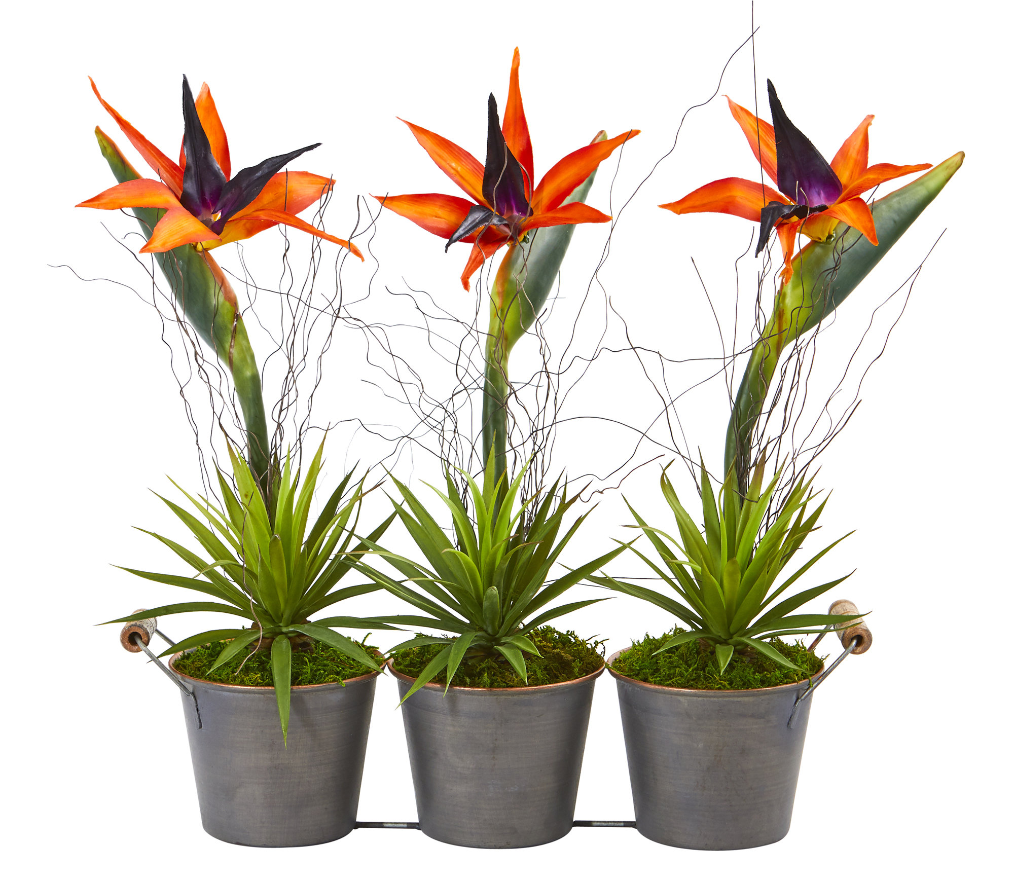 Bay Isle Home Bird Of Paradise And Succulent Artificial Mixed Floral Arrangement In Planter Wayfair