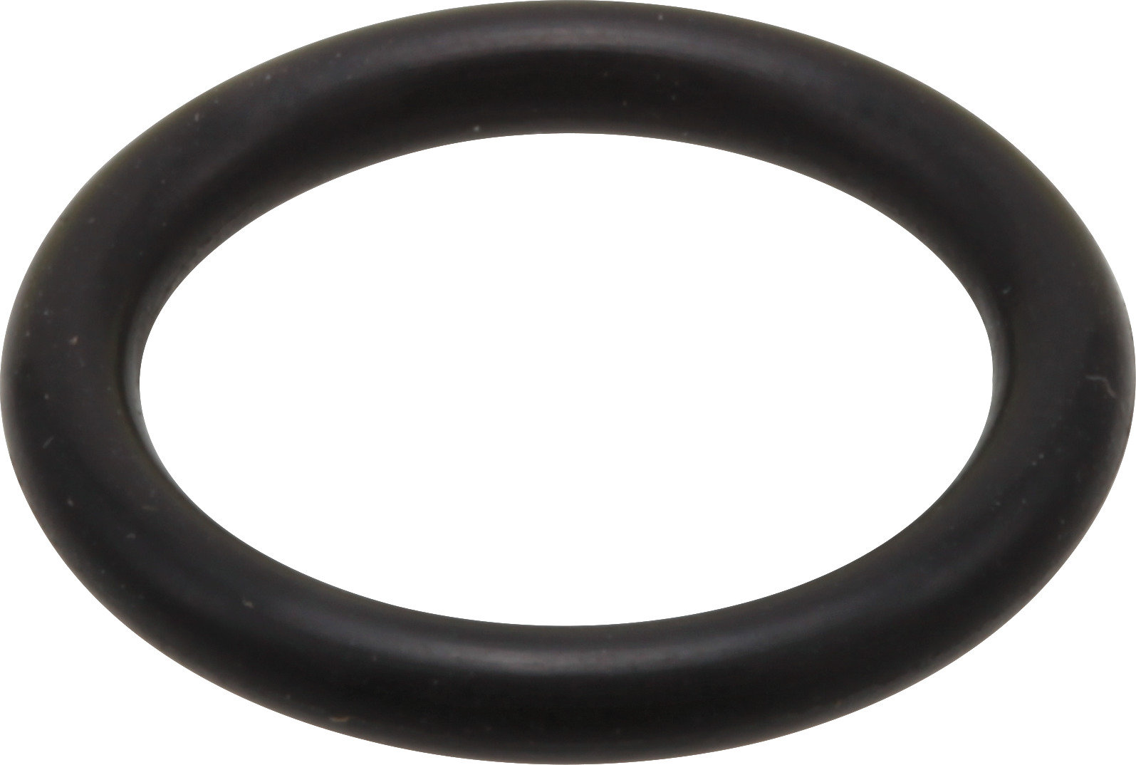 RP18362 Delta ORing for Shower Arm Wayfair