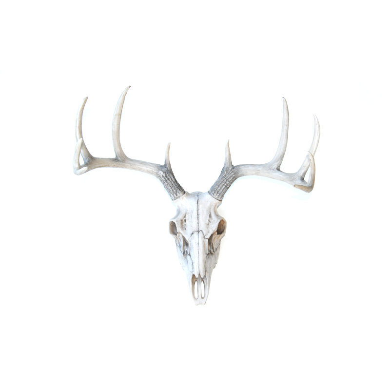 deer skull home decor